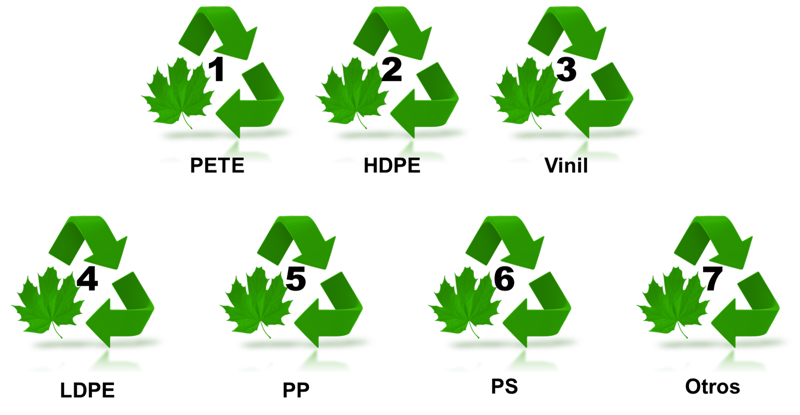 Conociendo, Separando y Reciclando