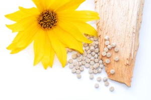 Biopolymer mit Holz und Blte