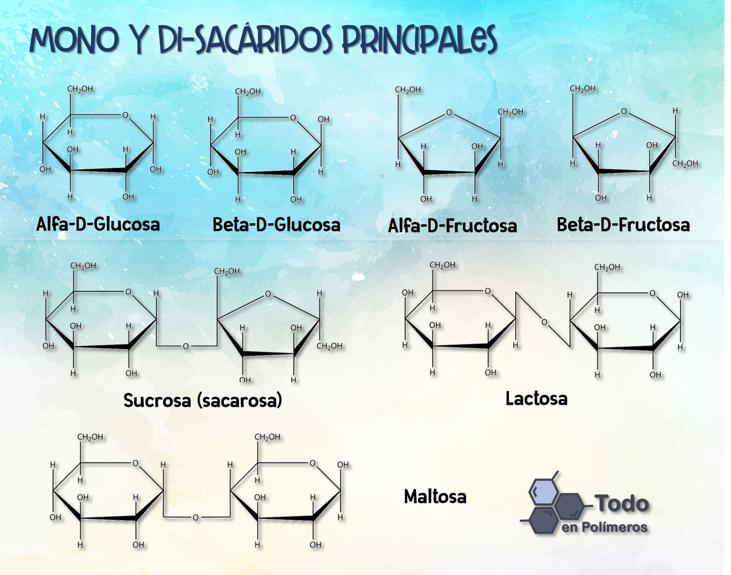 Las Moléculas Más Dulces