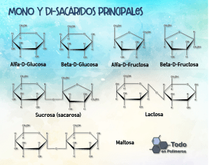 Mono y Di Sacaridos