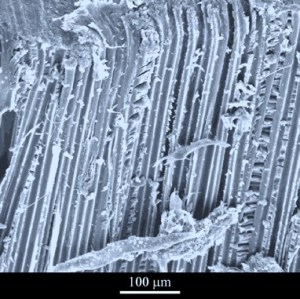 Kevlar fiber composite shear surface