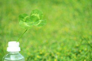 AdobeStock_51992748