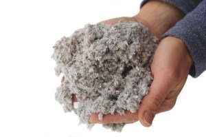 ouate de cellulose - dtour fond blanc