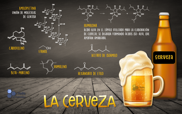 Cerveza