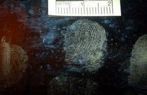 fingerprint