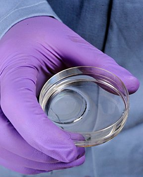 hydrogel-for-scar-reduction.jpg