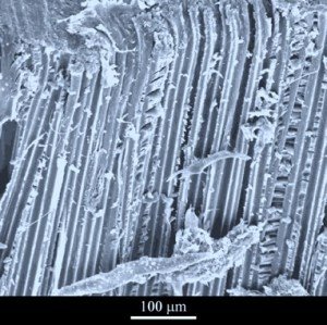 Kevlar fiber composite shear surface